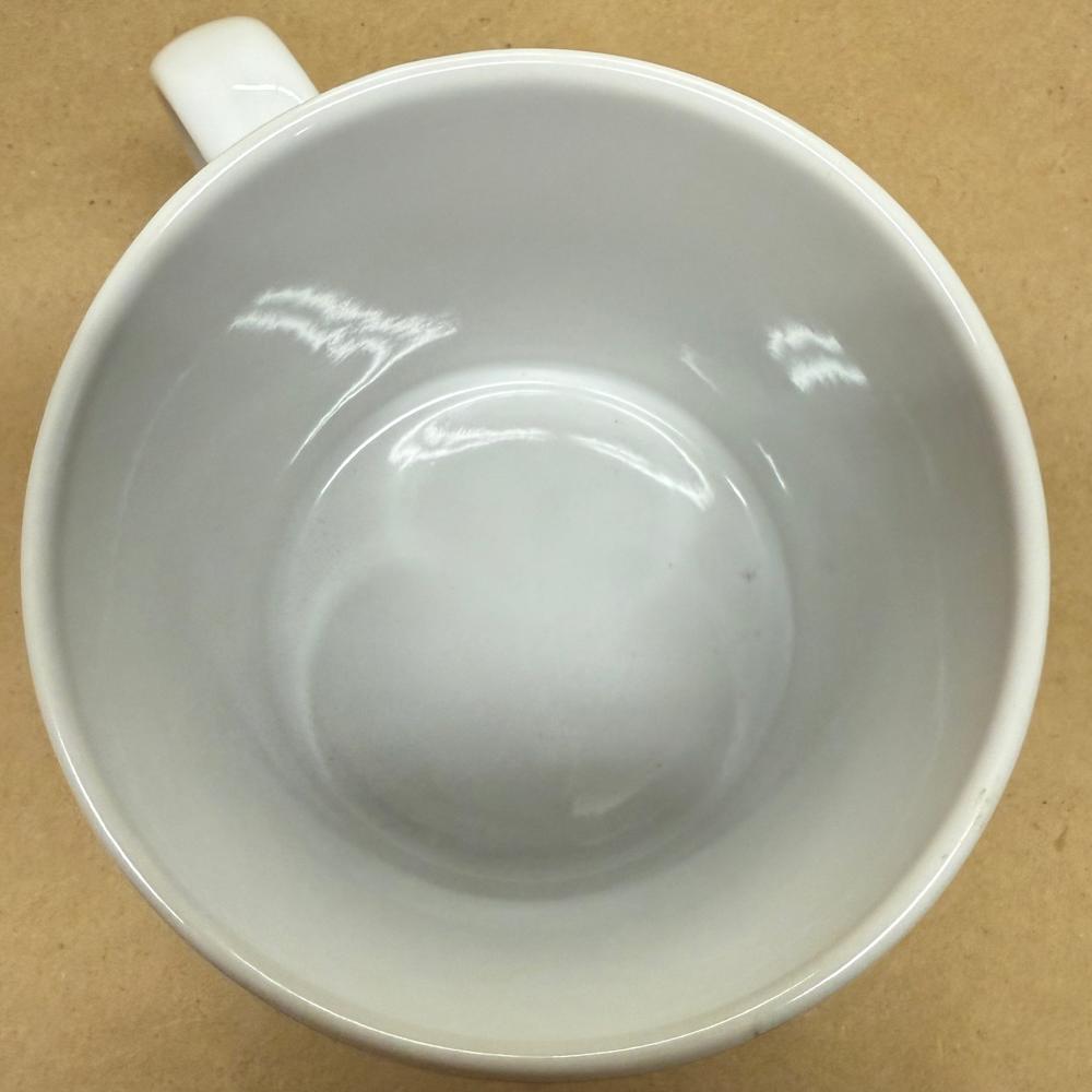 Starbucks City Mug Series Austin Mug NIB-1994